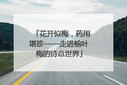 花开似梅，药用堪珍——走进榆叶梅的诗意世界