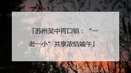 苏州吴中胥口镇：“一老一小”共享浓情端午