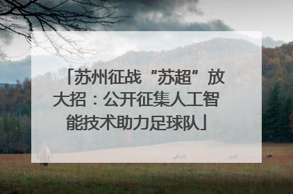苏州征战“苏超”放大招：公开征集人工智能技术助力足球队