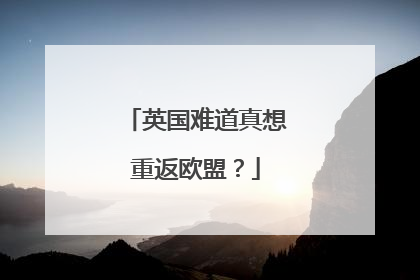 英国难道真想重返欧盟？