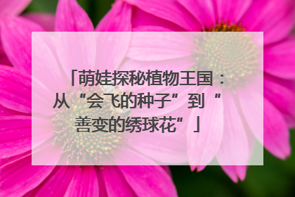 萌娃探秘植物王国：从“会飞的种子”到“善变的绣球花”