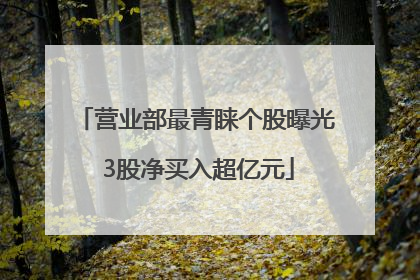 营业部最青睐个股曝光 3股净买入超亿元