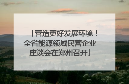 营造更好发展环境！全省能源领域民营企业座谈会在郑州召开