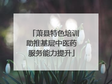 萧县特色培训助推基层中医药服务能力提升