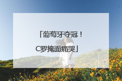 葡萄牙夺冠！C罗掩面痛哭