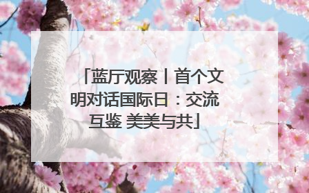 蓝厅观察丨首个文明对话国际日：交流互鉴 美美与共
