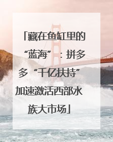 藏在鱼缸里的“蓝海”：拼多多“千亿扶持”加速激活西部水族大市场