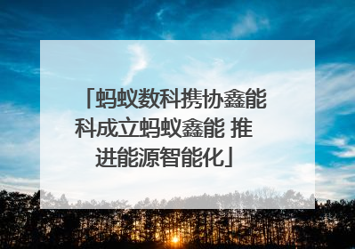 蚂蚁数科携协鑫能科成立蚂蚁鑫能 推进能源智能化