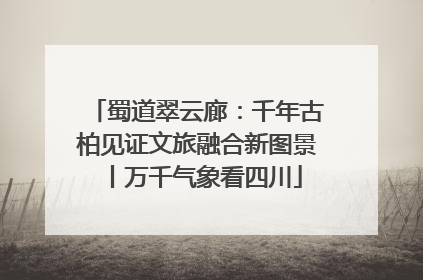 蜀道翠云廊：千年古柏见证文旅融合新图景丨万千气象看四川