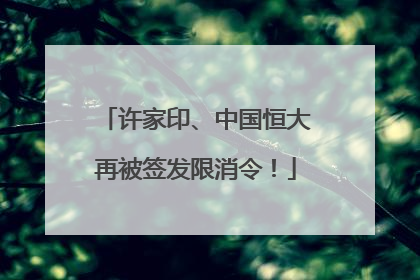 许家印、中国恒大再被签发限消令！