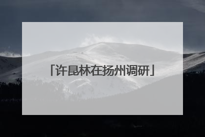 许昆林在扬州调研