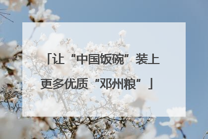 让“中国饭碗”装上更多优质“邓州粮”
