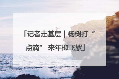记者走基层｜杨树打“点滴” 来年抑飞絮