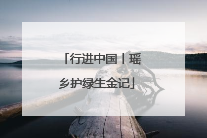 行进中国丨瑶乡护绿生金记