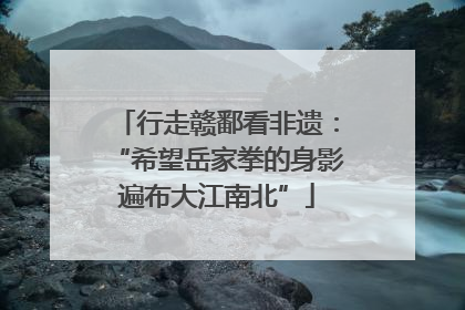 行走赣鄱看非遗：“希望岳家拳的身影遍布大江南北”