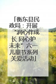 衡东县民政局：开展“润心伴成长 同心护未来”六一儿童节系列关爱活动