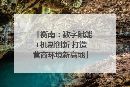 衡南：数字赋能+机制创新 打造营商环境新高地