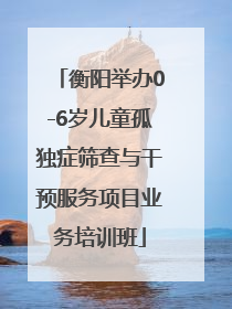衡阳举办0-6岁儿童孤独症筛查与干预服务项目业务培训班