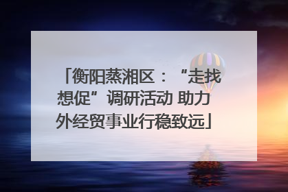 衡阳蒸湘区：“走找想促”调研活动 助力外经贸事业行稳致远