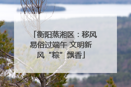 衡阳蒸湘区：移风易俗过端午 文明新风“粽”飘香
