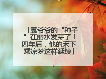 袁爷爷的“种子”在丽水发芽了！四年后，他的禾下乘凉梦这样延续
