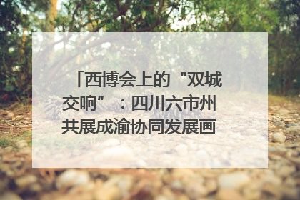 西博会上的“双城交响”：四川六市州共展成渝协同发展画卷｜西博视界