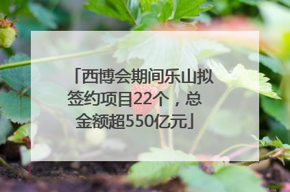 西博会期间乐山拟签约项目22个，总金额超550亿元
