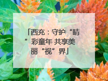 西充：守护“睛”彩童年 共享美丽“视”界