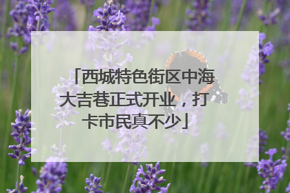西城特色街区中海大吉巷正式开业，打卡市民真不少