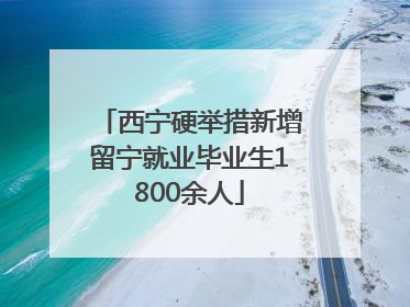 西宁硬举措新增留宁就业毕业生1800余人