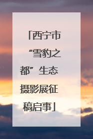 西宁市“雪豹之都”生态摄影展征稿启事