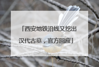 西安地铁沿线又挖出汉代古墓，官方回应