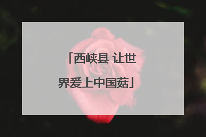 西峡县 让世界爱上中国菇