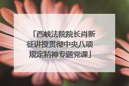 西峡法院院长肖新征讲授贯彻中央八项规定精神专题党课