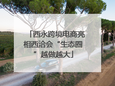 西永跨境电商亮相西洽会“生态圈”越做越大