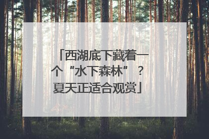 西湖底下藏着一个“水下森林”？夏天正适合观赏