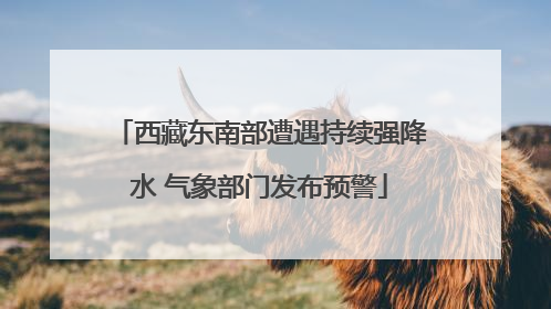 西藏东南部遭遇持续强降水 气象部门发布预警