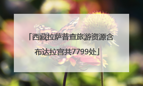 西藏拉萨普查旅游资源含布达拉宫共7799处