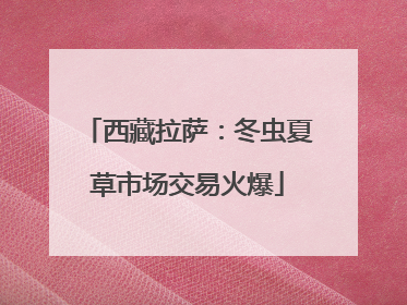 西藏拉萨：冬虫夏草市场交易火爆