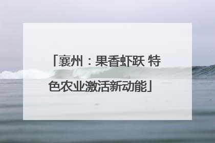 襄州：果香虾跃 特色农业激活新动能