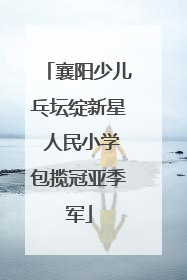 襄阳少儿乓坛绽新星 人民小学包揽冠亚季军