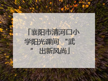 襄阳市清河口小学阳光课间 “武” 出新风尚