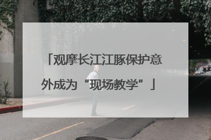 观摩长江江豚保护意外成为“现场教学”