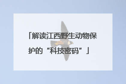 解读江西野生动物保护的“科技密码”
