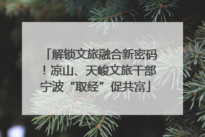 解锁文旅融合新密码！凉山、天峻文旅干部宁波“取经”促共富