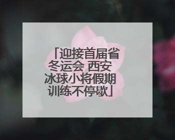 迎接首届省冬运会 西安冰球小将假期训练不停歇