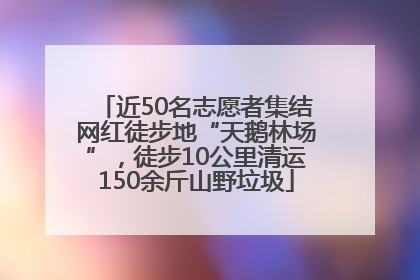 近50名志愿者集结网红徒步地“天鹅林场”，徒步10公里清运150余斤山野垃圾