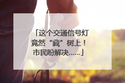 这个交通信号灯竟然“藏”树上！市民盼解决……