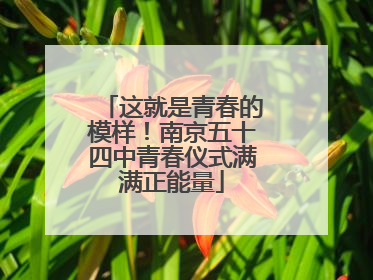 这就是青春的模样！南京五十四中青春仪式满满正能量