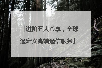进阶五大尊享，全球通定义高端通信服务